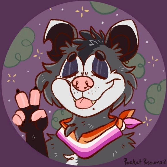 possumface504